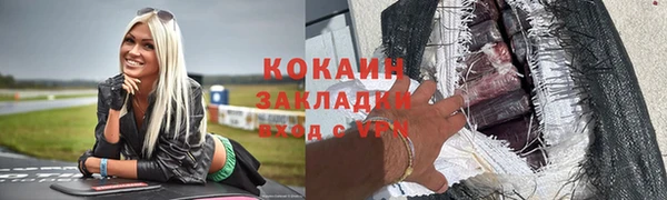 индика Мегион