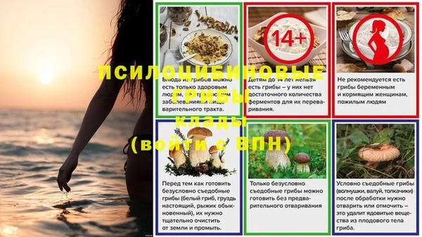 индика Мегион