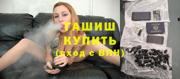 индика Мегион