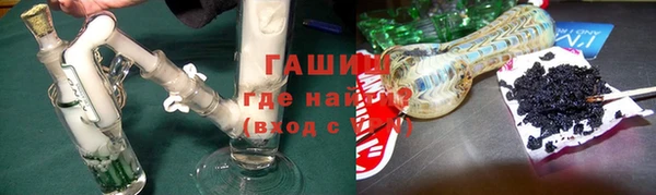 индика Мегион