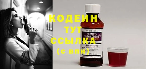 индика Мегион