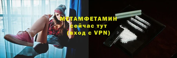 индика Мегион