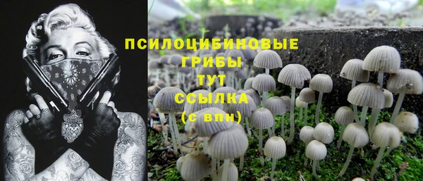 тгк Медногорск