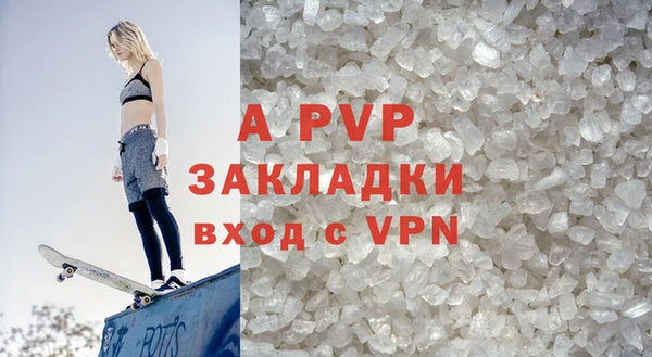 ПСИЛОЦИБИНОВЫЕ ГРИБЫ Печоры