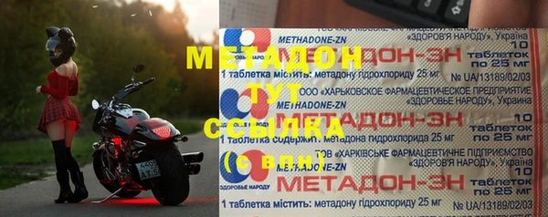 индика Мегион