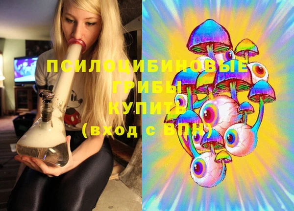 мет Медвежьегорск