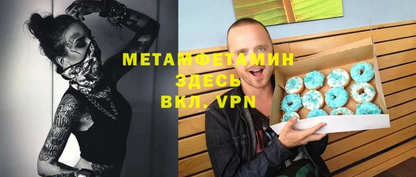 индика Мегион