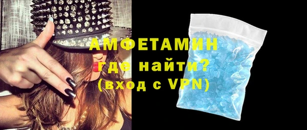 индика Мегион