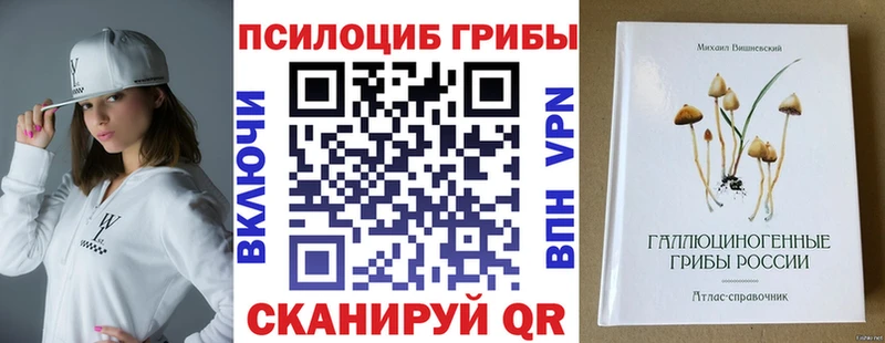 Псилоцибиновые грибы GOLDEN TEACHER  блэк спрут сайт  Орёл 